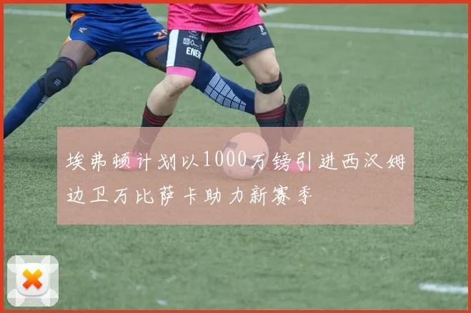 埃弗顿计划以1000万镑引进西汉姆边卫万比萨卡助力新赛季