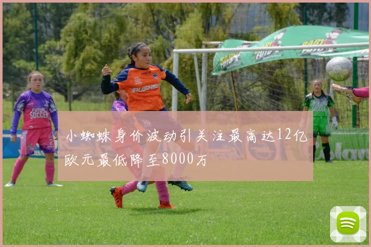小蜘蛛身价波动引关注最高达12亿欧元最低降至8000万